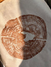 Relief Print | Acacia
