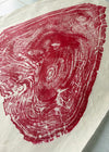 Relief Print | Jackfruit Steak