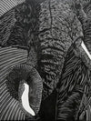 Linocut | The Matriarch