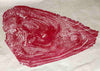 Close up of a jackfruit tree relief print