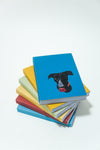 The Underdogs Cassette Book